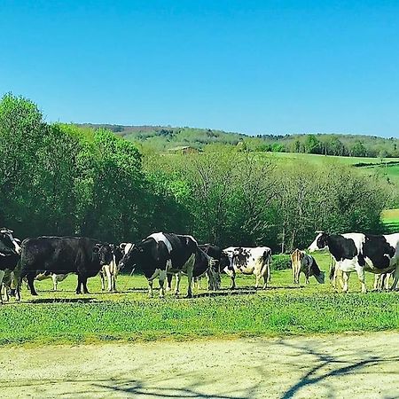 « Le Vieux Hangar » Gite A La Ferme Truffe Kültér fotó