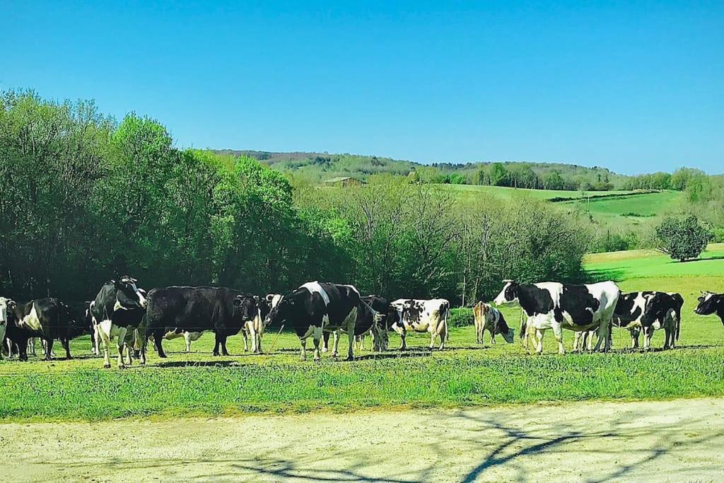 « Le Vieux Hangar » Gite A La Ferme Truffe Kültér fotó